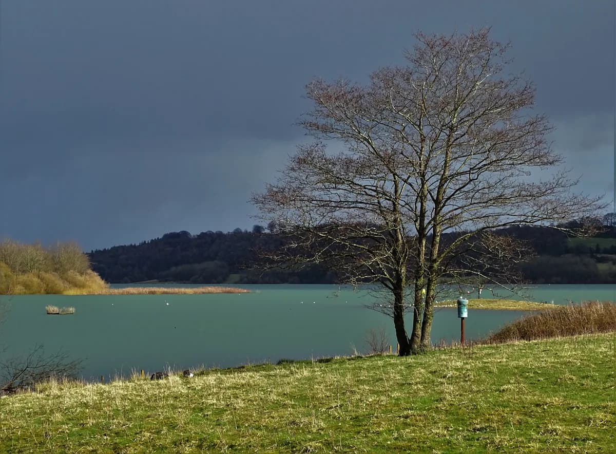 Photo of Carsington Water