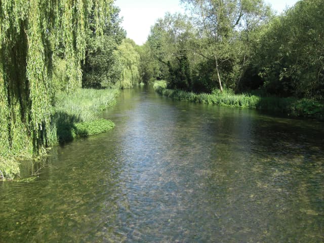 The River Kennet downstream of the Old Mill at Ramsbury, clear water with grayling visible near the bed.