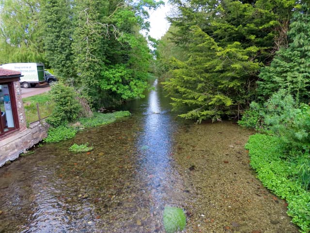 The River Kennet flowing through Marlborough in spring at the upper chalkstream reaches.