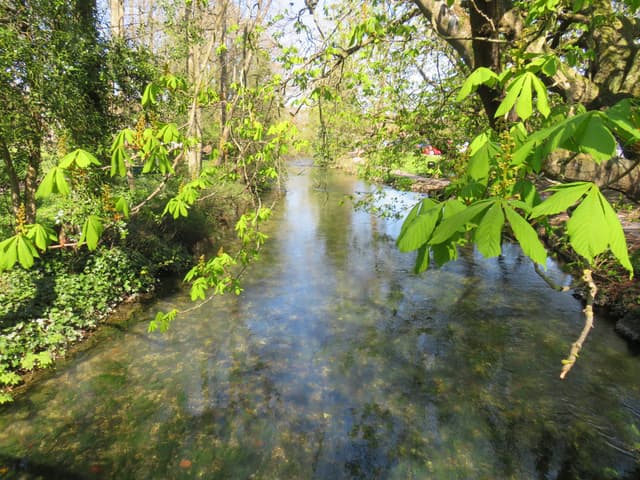 The River Kennet at Marlborough viewed from Figgins Lane Bridge, a chalk stream SSSI reach in spring.