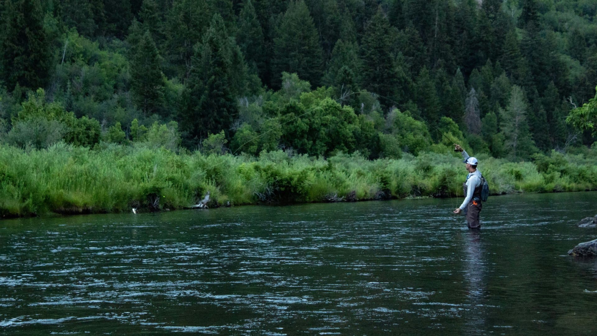 Middle Provo River fishing venue photo