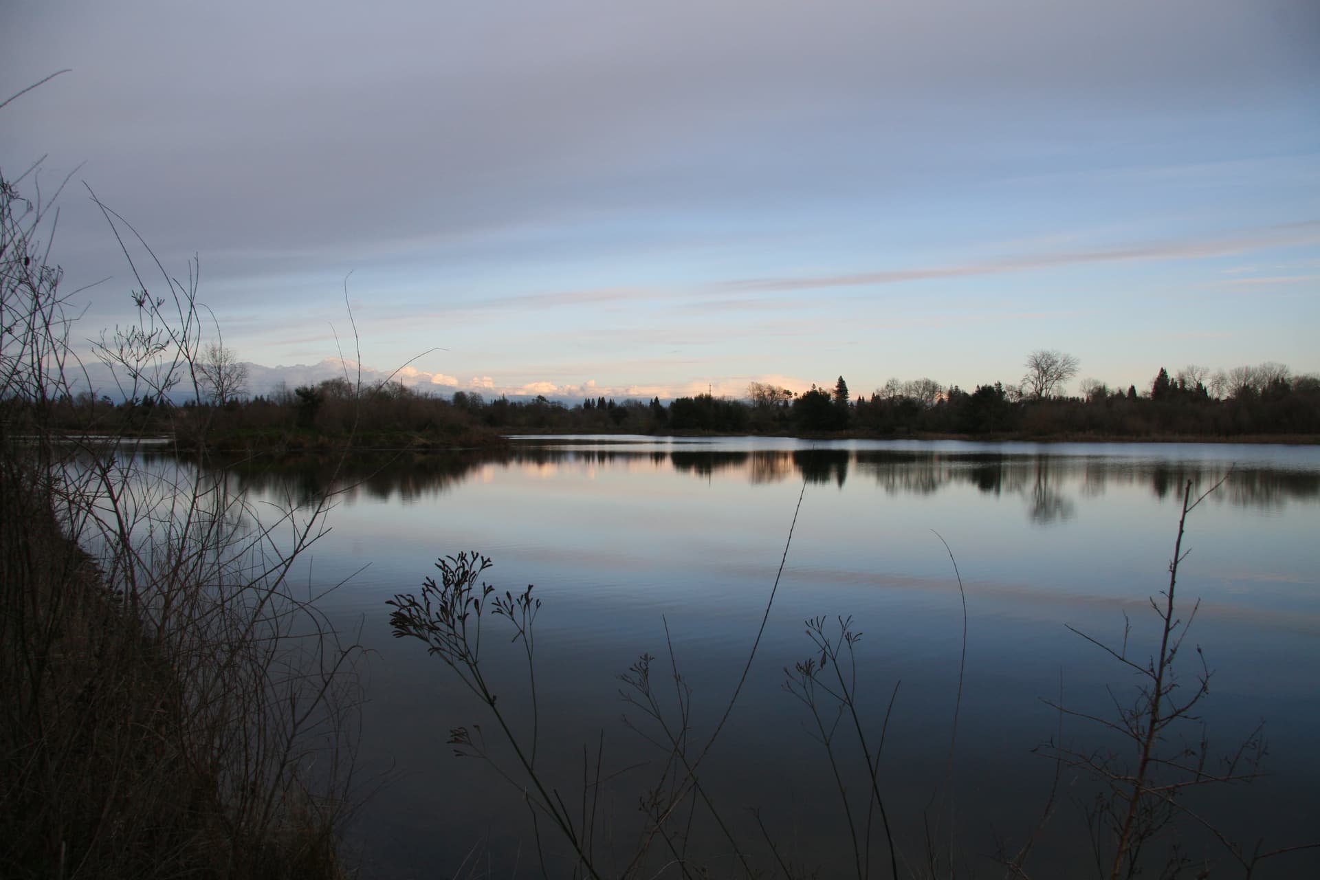Lower American River William Pond Park