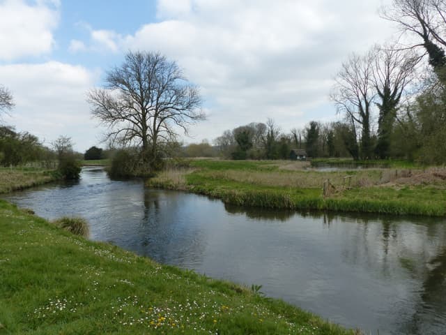 River Test at Houghton Lodge Gardens - geograph.org.uk - 6152024