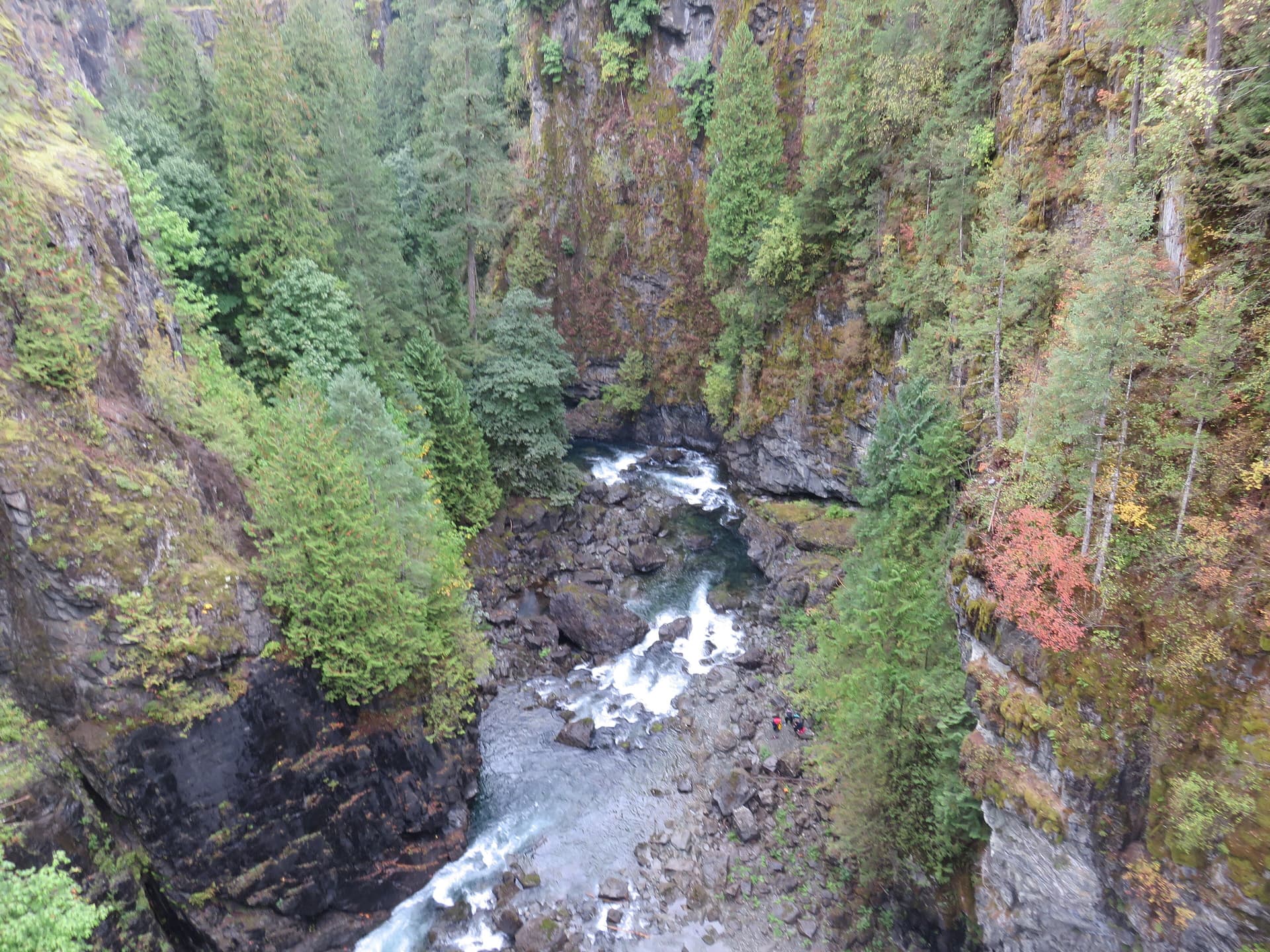 Elk Falls Provincial Park and the Campbell River